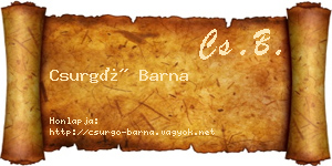 Csurgó Barna névjegykártya